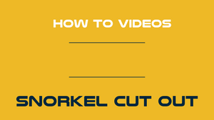 Video 3 trigger image